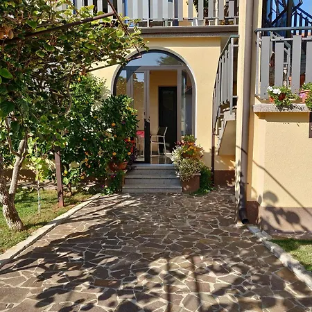 Appartement Flat Near Center And *