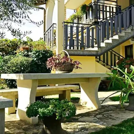 Flat Near Center And Appartement