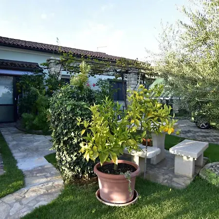 Appartement Flat Near Center And